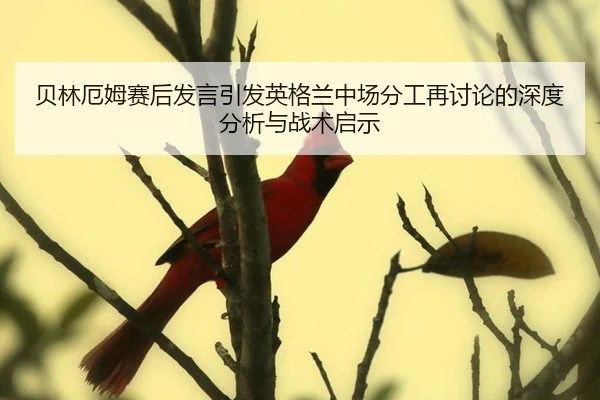 贝林厄姆赛后发言引发英格兰中场分工再讨论的深度分析与战术启示