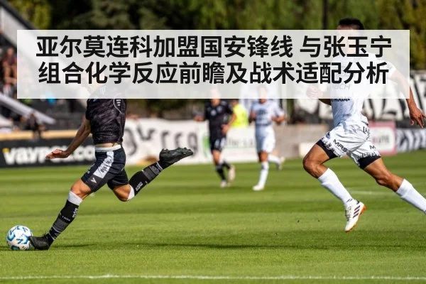 亚尔莫连科加盟国安锋线 与张玉宁组合化学反应前瞻及战术适配分析
