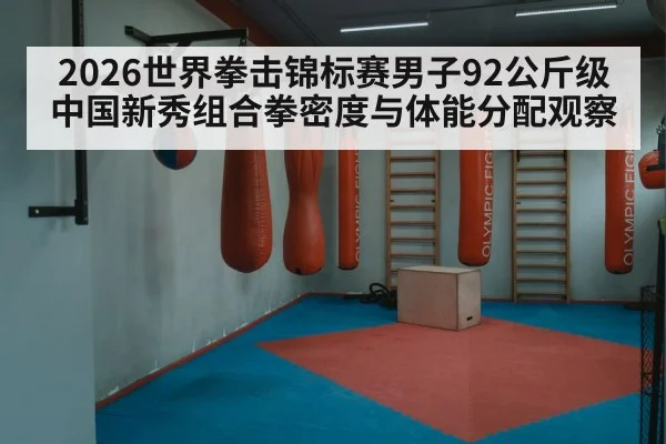 2026世界拳击锦标赛男子92公斤级 中国新秀组合拳密度与体能分配观察 - KAIYUN